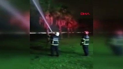 Havaya bırakılan dilek feneri palmiye ağacını yaktı