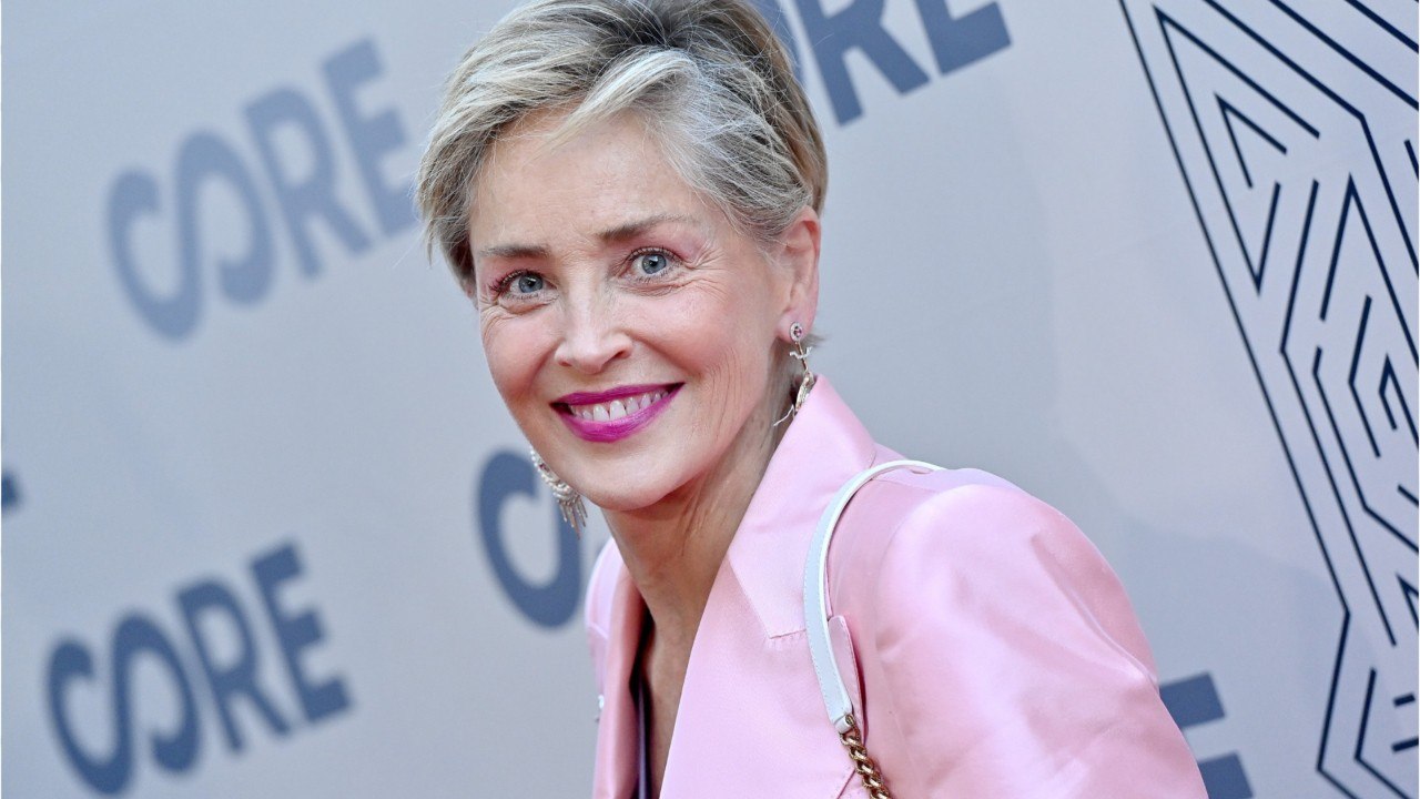 TEST. « J'ai perdu 9 enfants " : les confidences bouleversantes de Sharon Stone sur ses fausses-couches