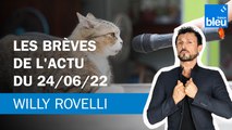 Les brèves de l'actu du 24/06/22 - Le billet de Willy Rovelli