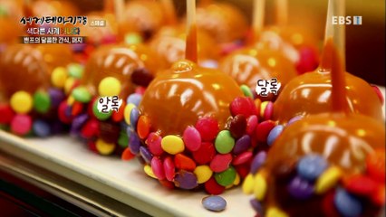 세계테마기행 - Themes Around the World_색다른 사계- 설국의 오로라_#001