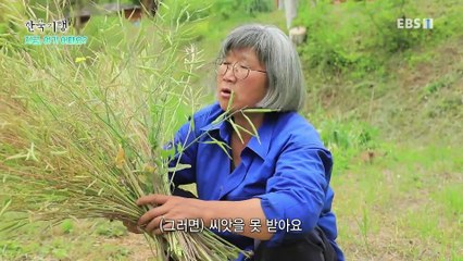 한국기행 - Korea travel_지금, 여기 어때요? 5부- 빠름을 이기는 느림으로_#001