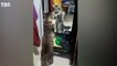 Ce chat se voit pour la première fois dans un miroir !