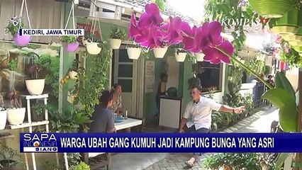 Download Video: Warga Kediri Sulap Gang Kumuh jadi Lebih Asri dengan Bunga-bunga dan Tanaman Obat!