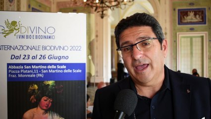 Vini biologici, la Sicilia primo produttore in Italia