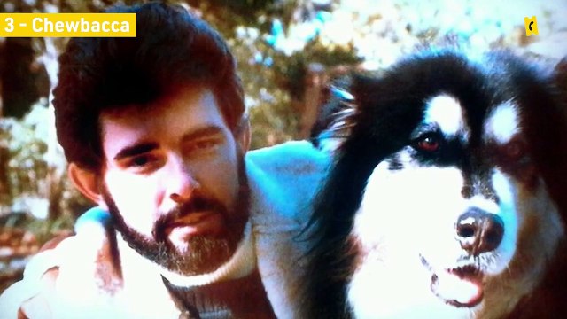 Fanzone N°914 - Obi-Wan, Jedi, Chewbacca... Le sens caché des noms dans Star Wars