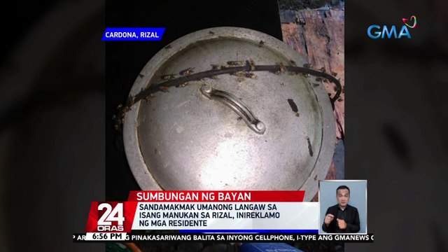 Sandamakmak umanong langaw sa isang manukan sa Rizal, inireklamo ng mga residente | 24 Oras