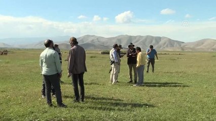 Türk ve Moğol bilim insanları Van'da İlhanlı sarayının izini sürüyor (1)