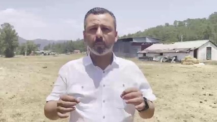 Son dakika: Muğla Milletvekili Erbay: "Askeri Uçaklar, Askeri Helikopterler, Çift Pervaneli Helikopterler Yangın Saray'a Yönelince Ortaya Çıktı"