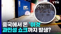 '맹독 해충' 붉은 불개미 '습격'...중국서 유입돼 확산 / YTN