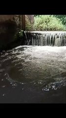 Relaxing Flowing River Sounds