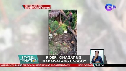 Rider, kinagat ng nakawalang unggoy | SONA