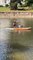 Woman Paddleboards with Two Dogs