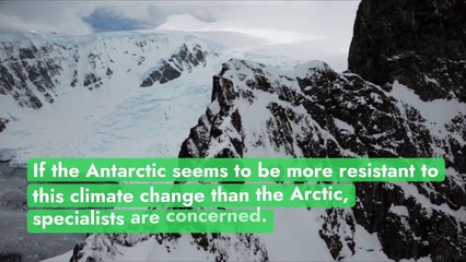 The surface area of the Antarctic ice bank is at its lowest in over 40 years