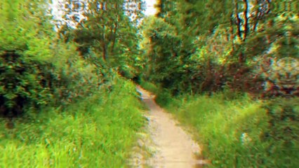 The impact of climate change on the pollen season