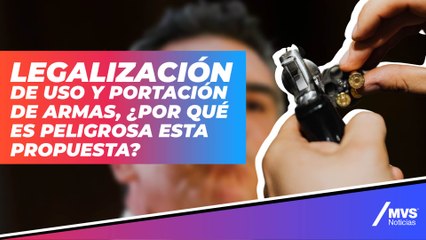 'Propuesta de 'Alito' sobre las armas es muy peligrosa'