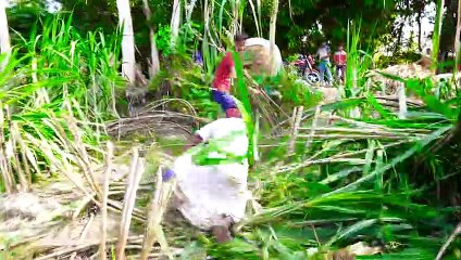 Must Watch New Non stop Comedy Video 2021 Amazing Funny Video 2021 Episode 128 By Funny Day