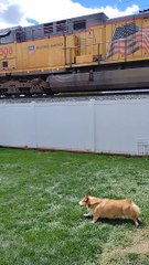 Nettie Trying to Catch the Train