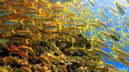 10 Best Places to Visit in Egypt - Travel Video