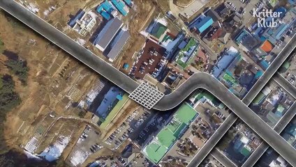 Dog Trapped In A Sewer System  - Animal in Crisis EP10