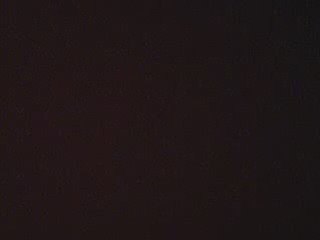 Malgrès l'am0ur que je te porte