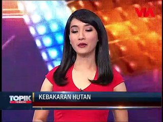 Kebakaran Hutan di Jambi Merambah Taman Nasional Berbak
