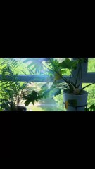 Documenting my back garden view