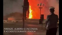 Firenze, incendio di un albero al piazzale Michelangelo durante i fuochi d'artificio