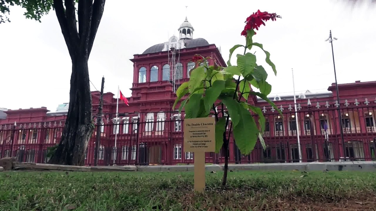 GOVT SEEKS TO RENEW BAIL BILL