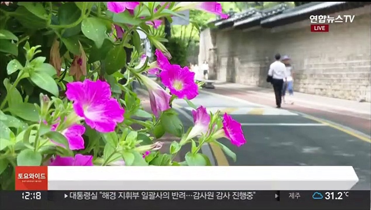[날씨] 주말 30도 안팎 무더위…내륙 요란한 소나기