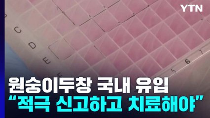 "원숭이두창 치명률 0.2% 이하 전망...흉터 남을 수 있어 적극 치료해야" / YTN