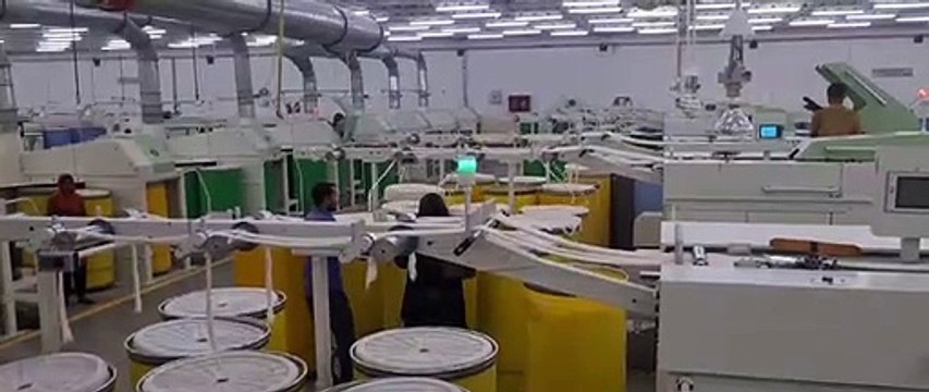 Bhilwara news: केला, गांजा, इकोवेरा, समुद्री व एल्गी पौधों से भीलवाड़ा में बनाने लगे मिश्रित धागा