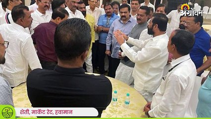 Maharashtra PoliticalCrisis : कृषीमंत्री चिंतन शिबिरात; शेतकरी मात्र वाऱ्यावर  | Sakal Media |