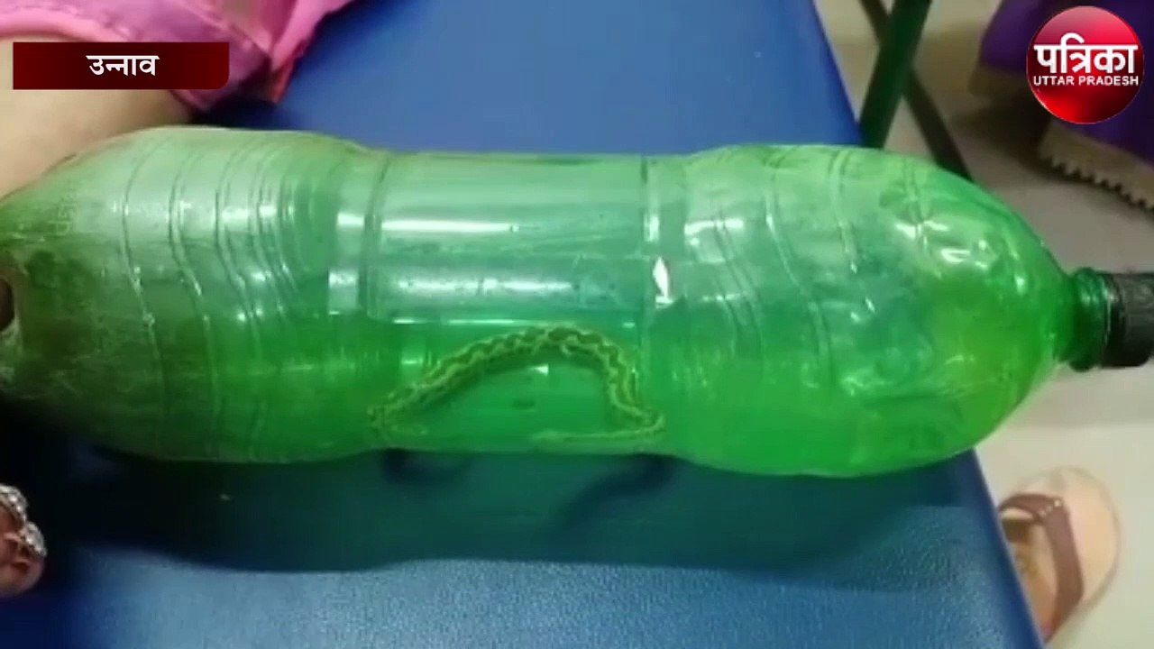 सांप ने पत्नी को काटा तो पति ने सांप को पकड़कर...