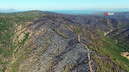 Marmaris yangının ardından geriye bu görüntüler kaldı
