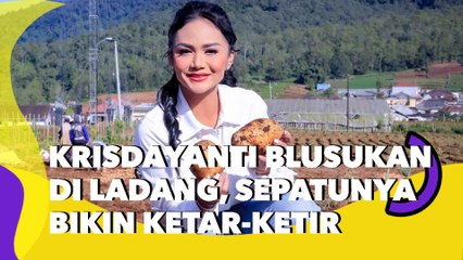 Krisdayanti Blusukan Panen Kentang Bareng Petani di Ladang, Sepatunya Bikin Ketar-ketir