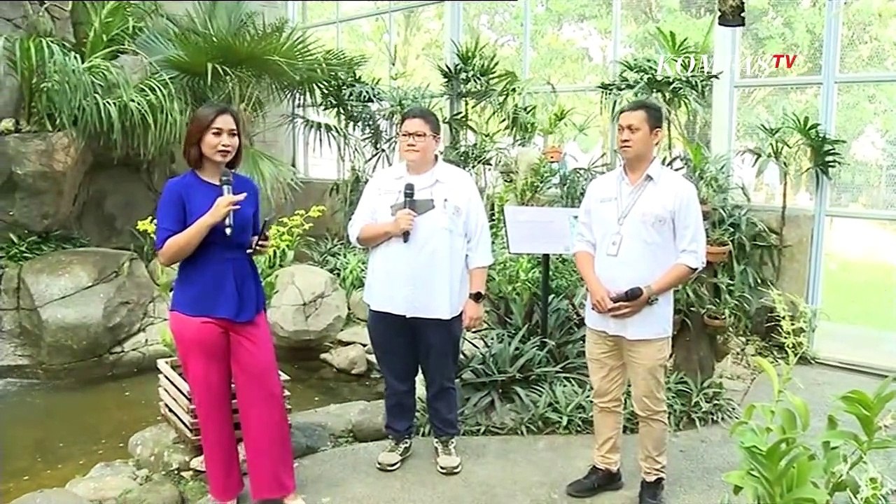 Menikmati Keindahan Anggrek di Griya Anggrek Ke...