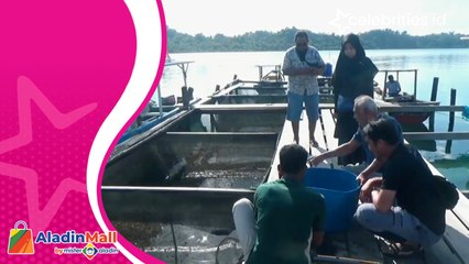 Wisata Penangkaran Penyu di Desa Teluk Nibung, Pengunjung Bisa Berpartisipasi