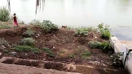 देखिए वीडियो:- ऐतिहासिक वैद्य घाट मिट्टी दफन, जीर्णेद्धार की कर रहे मांग