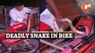 Deadly Snake Found Under Motorcycle Seat