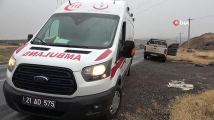 Kahvaltı yapmak için sığındıklara ağaca yıldırım düştü: 1'i ağır, 6 yaralı