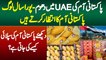 UAE Me Pakistani Mangoes Ki Dhoom - Pura Sal Log Pakistani Mangoes Ka Intezar Karte Hai