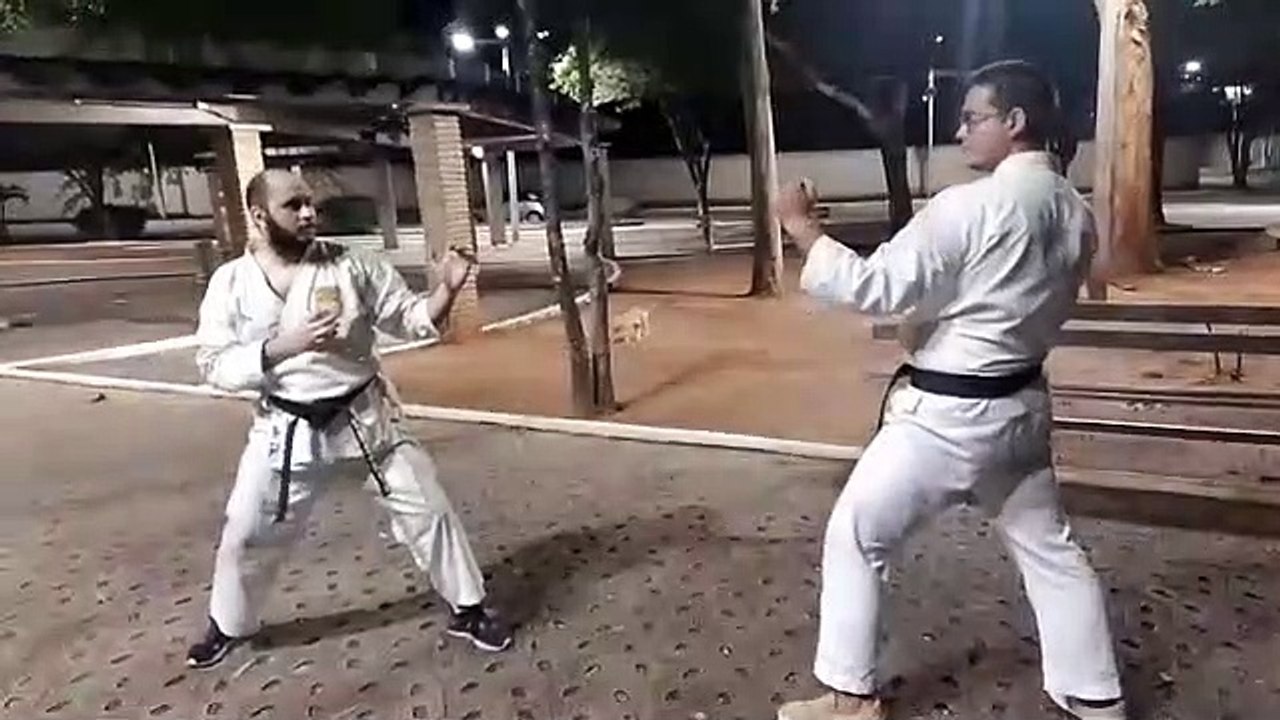 Fighting styles