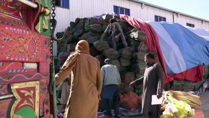 Séisme en Afghanistan: l'aide aux survivants s'organise