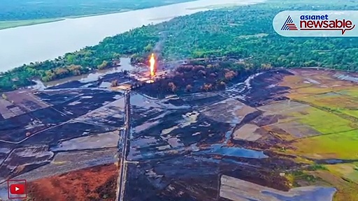 Assam Fire Threatens Livelihood And Biodiversity