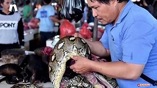 दुनिया पर खतरा बनता जा रहा है कोरोना वायरस, भारतीय भी आ रहे इसकी चपेट में