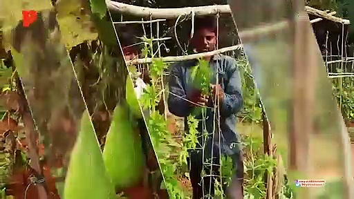 The Good Fight: Kerala launches Break The Chain campaign over coronavirus