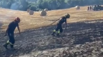 Predappio (FC) - Incendio di vegetazione nella frazione Porcentico (25.06.22)