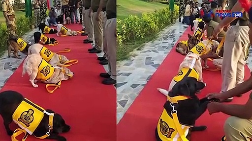 दिल्ली मेट्रो को सुरक्षा देने वाले सीआईएसएफ के सर्विस डॉग हुए रिटायर