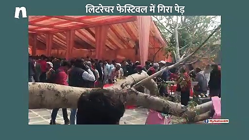 जयपुर लिटरेचर फेस्टिवल में कार्यक्रम के दौरान गिरा पेड़, छह घायल