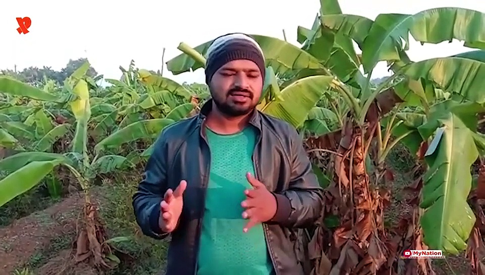 Will Union Budget 2020 be a perfect recipe to extricate India out of economic mess?